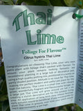 LIME THAI 33CM