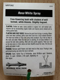 ROSE WHITE SPRAY BARE ROOT