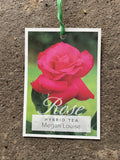 ROSE MEGAN LOUISE BARE ROOT