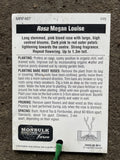 ROSE MEGAN LOUISE BARE ROOT