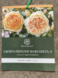 ROSE DAVID AUSTIN CLIMBING CROWN PRINCESS MARGARETA BARE ROOT 