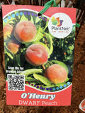 PEACH DWARF OHENRY BARE ROOT