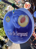 PLUM DWARF ROBE DE SERGEANT BARE ROOT