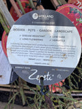 ROSE STANDARD ZEPETI 2FT BARE ROOT