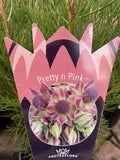 SERRURIA PRETTY N PINK 14CM