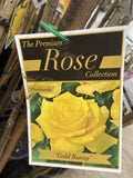 ROSA STANDARD GOLD BUNNY 3FT 20CM 