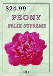 PEONY FELIX SUPREME BARE ROOT 