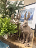 HAROLD THE HARE BROWN 