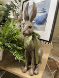 HAROLD THE HARE BROWN 