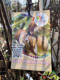 ALMOND SELF POLLINATING BARE ROOT 