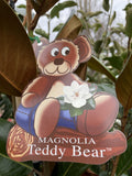 MAGNOLIA TEDDY BEAR 25CM