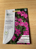 RHS DIANTHUS DELTOIDES SEEDS