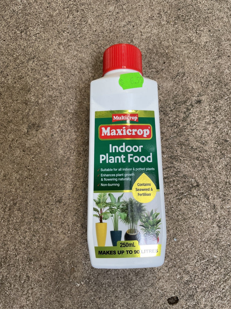 common indoor plants in india MAXICROP INDOOR PLANT FOOD 250ML – Poyntons Nursery