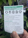 SALVIA VELOUR PINK 14CM PGA 