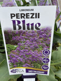 LIMONIUM PEREZII BLUE 14CM PGA 