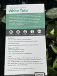 HELLEBORUS FROSTKISS® TUTU WHITE 18CM PGA 