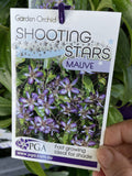 TRICYRTIS MAUVE SHOOTING STARS GARDEN ORCHID 14CM PGA 