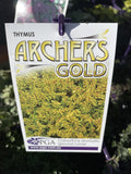 THYMUS ARCHER'S GOLD 14CM PGA