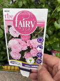 ROSE THE FAIRY 14CM PGA