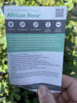 ANISODONTEA AFRICAN ROSE DAYO 14CM PGA