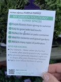 ACINOS PURPLE POPPET 14CM PGA