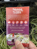 CAREX MOON FALLS 14CM PGA