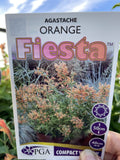 AGASTACHE ORANGE FIESTA 14CM PGA 
