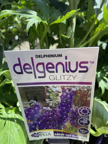 DELPHINIUM GLITZY DELGENIUS 20CM PGA