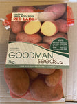 SEED POTATO RED LADY 1KG