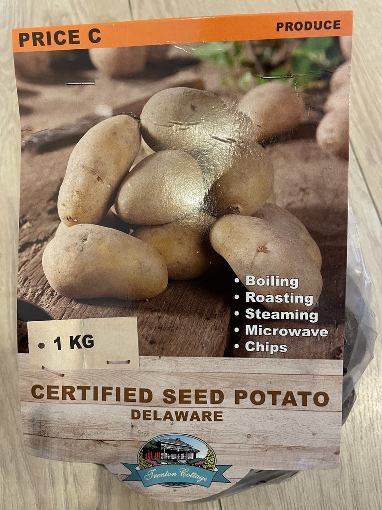 Delaware Potatoes SEED POTATO DELAWARE 1KG – Poyntons Nursery