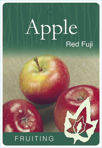 APPLE RED FUJI BARE ROOT