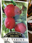 NECTARINE NECTAZEE BARE ROOT