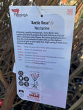 NECTARINE ARCTIC ROSE BARE ROOT 