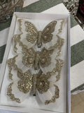 BUTTERFLY FEATHER PACK 3 CREAM CHAMPAGNE