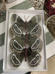 BUTTERFLY FEATHER PK3 NAT COPPER WHITE