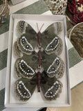 BUTTERFLY FEATHER PK3 NAT COPPER WHITE