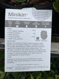 RHAPHIOLEPIS MINIKINS 20CM