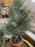 TREE PINE JASPER IN POT GREEN WHITE 69CM