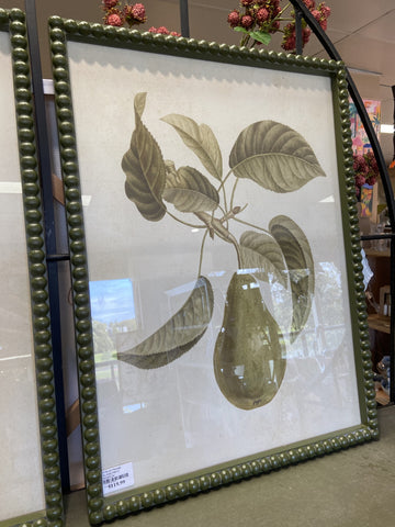 PYRUS PEAR FRAME GLASS PRINT 45X60CM 