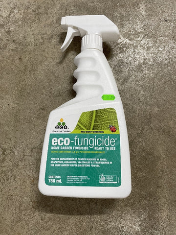 ECO FUNGICIDE READY TO USE 750ML