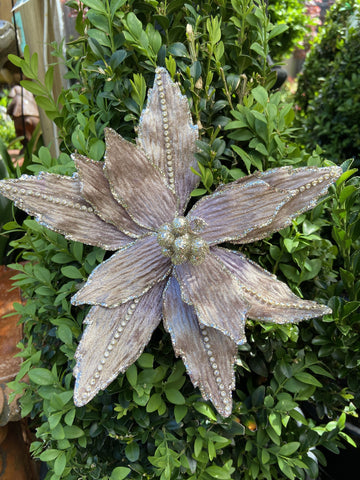 VELVET CRYSTAL CLIP ON POINSETTIA CHAMPAGNE 