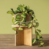 PLANT STAND BAMBOO LARGE