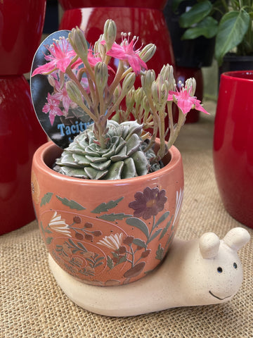 SNAIL WITH FLOWERS PLANTER PINK & SANDSTONE 11cm