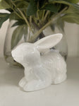 RABBIT BITSY