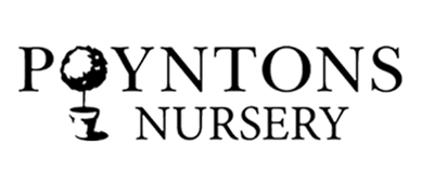 Poyntons Nursery & Garden centre| Plants, trees, gardening accessories, furniture, homewares and onsite Cafe