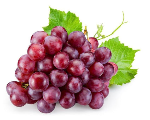 GRAPE RUBY SEEDLESS BARE ROOT