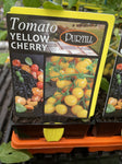 TOMATOES ADVANCED 10CM POTS