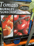 TOMATOES ADVANCED 10CM POTS