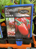 TOMATOES ADVANCED 10CM POTS