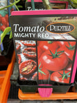 TOMATOES ADVANCED 10CM POTS